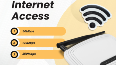 Starlink Internet Access