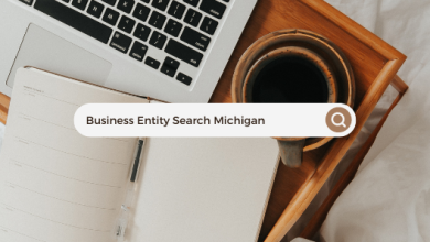 Business Entity Search Michigan
